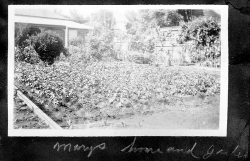 Click to see PIC 6-RUCK 120 of Edna Ruck photo Collection (PIC 6-RUCK)