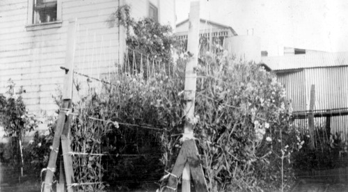Click to see PIC 6-RUCK 134 of Edna Ruck photo Collection (PIC 6-RUCK)