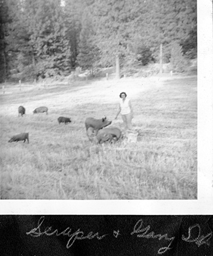 Click to see PIC 6-RUCK 162 of Edna Ruck photo Collection (PIC 6-RUCK)