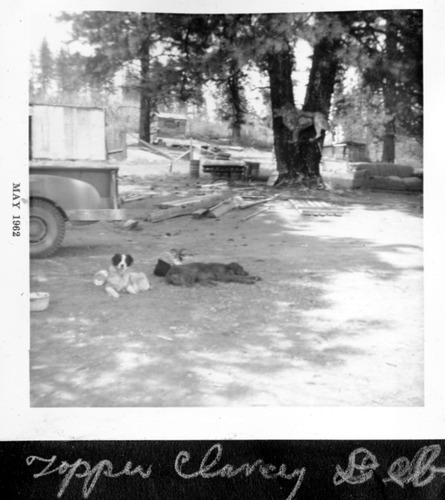 Click to see PIC 6-RUCK 164 of Edna Ruck photo Collection (PIC 6-RUCK)