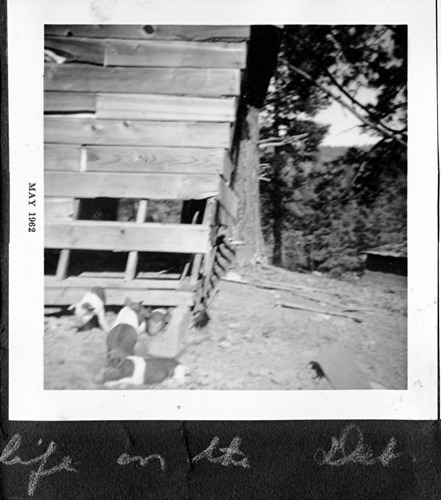 Click to see PIC 6-RUCK 166 of Edna Ruck photo Collection (PIC 6-RUCK)