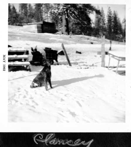 Click to see PIC 6-RUCK 174 of Edna Ruck photo Collection (PIC 6-RUCK)
