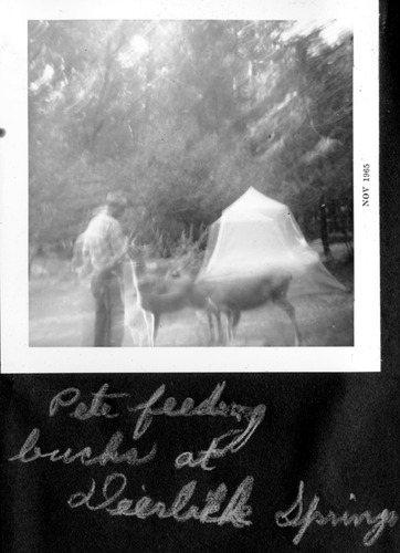 Click to see PIC 6-RUCK 184 of Edna Ruck photo Collection (PIC 6-RUCK)