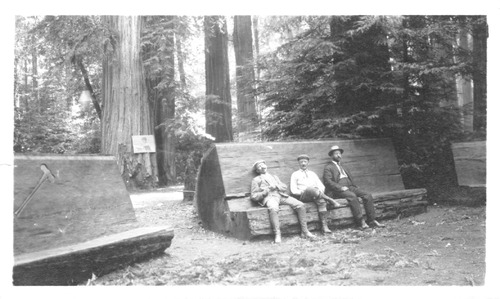 Click to see PIC 6-SAR 40 of Sargent Family Album (PIC 6-SAR)