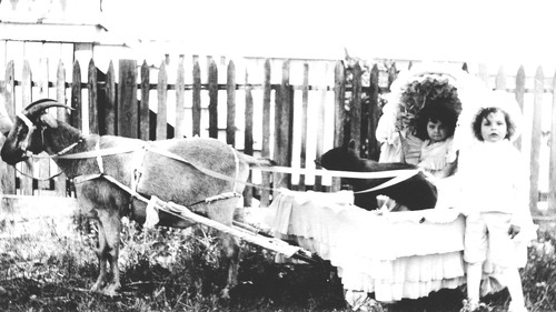 Click to see PIC 6-STE 15 of George Stewart Collection (PIC 6-STE)
