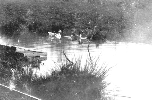 Click to see PIC 6-STE 74 of George Stewart Collection (PIC 6-STE)
