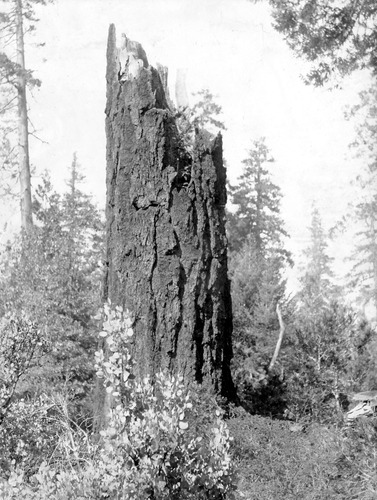 Click to see PIC 6-STE 77 of George Stewart Collection (PIC 6-STE)