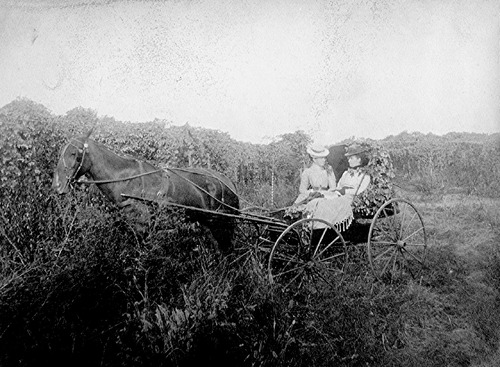 Click to see PIC 6-STE 115 of George Stewart Collection (PIC 6-STE)