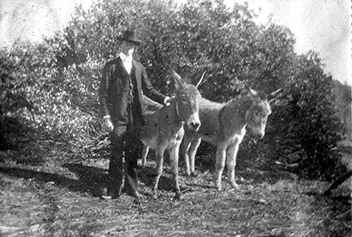 Click to see PIC 6-STE 137 of George Stewart Collection (PIC 6-STE)