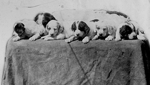 Click to see PIC 6-STE 146 of George Stewart Collection (PIC 6-STE)
