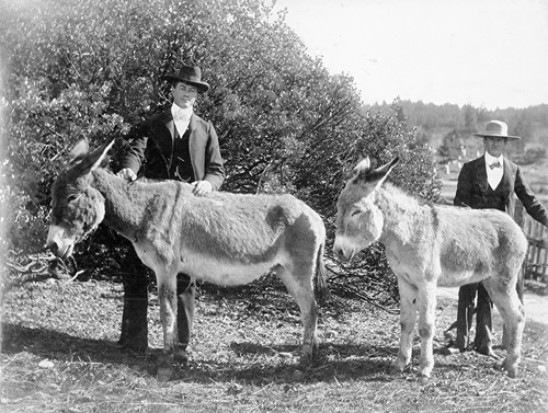 Click to see PIC 6-STE 149 of George Stewart Collection (PIC 6-STE)