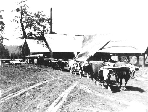 Click to see PIC 6-STE 162 of George Stewart Collection (PIC 6-STE)