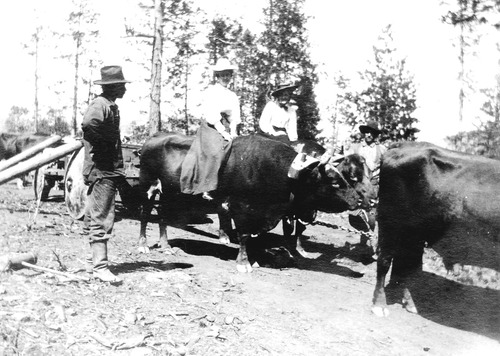 Click to see PIC 6-STE 163 of George Stewart Collection (PIC 6-STE)