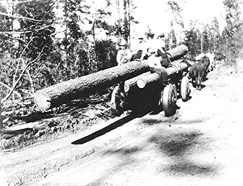 Click to see PIC 6-STE 164 of George Stewart Collection (PIC 6-STE)