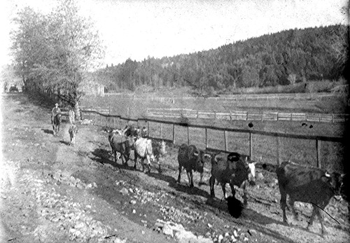 Click to see PIC 6-STE 176 of George Stewart Collection (PIC 6-STE)