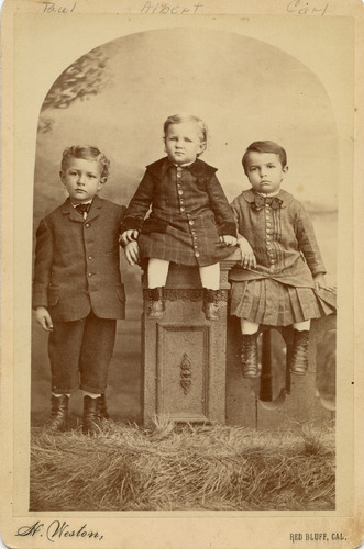 Click to see PIC 6-STO 31 of Stoll family (PIC 6-STO)