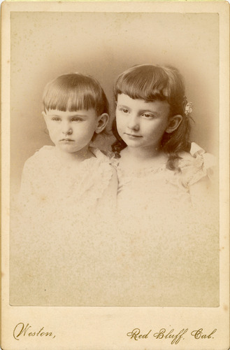 Click to see PIC 6-STO 42 of Stoll family (PIC 6-STO)