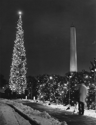 Click to see PIC 6-TREE 11 A&B of National Christmas Tree from Nevada County (PIC 6-TREE)