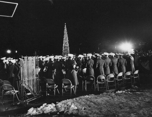 Click to see PIC 6-TREE 16 A&B of National Christmas Tree from Nevada County (PIC 6-TREE)