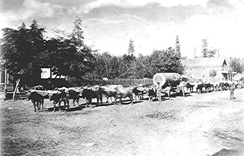 Click to see PIC 7-KAL 11 of Kallenberger Family Collection (PIC 7-KAL)