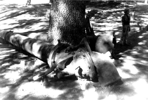 Click to see PIC 7-KAL 14 of Kallenberger Family Collection (PIC 7-KAL)