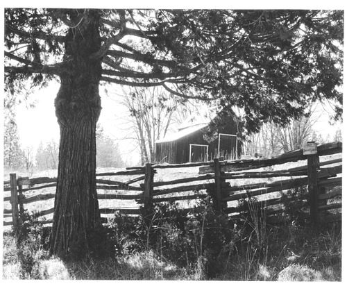 Click to see PIC 7-KAL 35 of Kallenberger Family Collection (PIC 7-KAL)