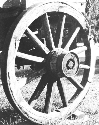 Click to see PIC 7-KAL 37 of Kallenberger Family Collection (PIC 7-KAL)