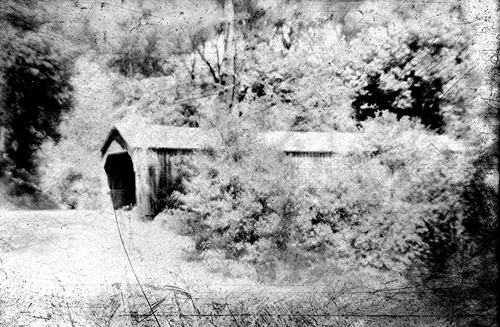 Click to see PIC 7-KAL 43 of Kallenberger Family Collection (PIC 7-KAL)