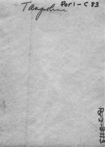 Back of Photo