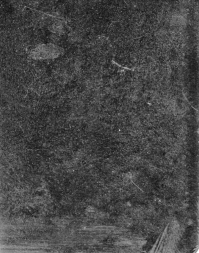 Back of Photo