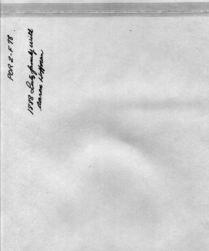 Back of Photo Back of Photo
