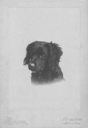 Click to see POR 3-A 63 of Portraits (POR 3)