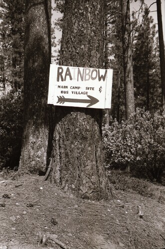 Click to see PIC 7-CARTER 48-37 of Yuba River 1984 California Regional Rainbow Gathering (PIC 7-CARTER 48)
