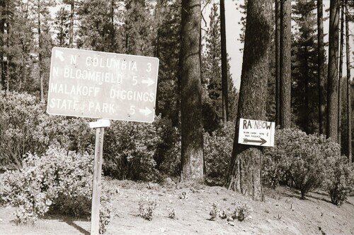 Click to see PIC 7-CARTER 48-38 of Yuba River 1984 California Regional Rainbow Gathering (PIC 7-CARTER 48)