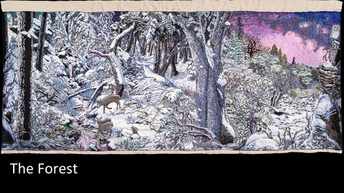 2025-01-16 - San Juan Ridge Tapestry Project with Bruce Boyd and Jennifer Rains Crosby - 