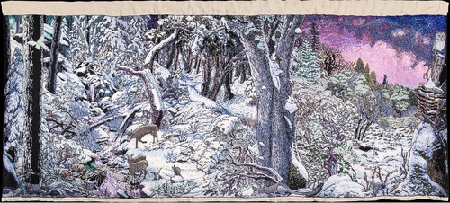 2025-01-16 - San Juan Ridge Tapestry Project with Bruce Boyd and Jennifer Rains Crosby - 04