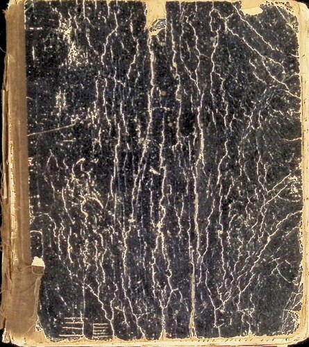 Click to view W. P. Browne Diary W. P. Browne Diary